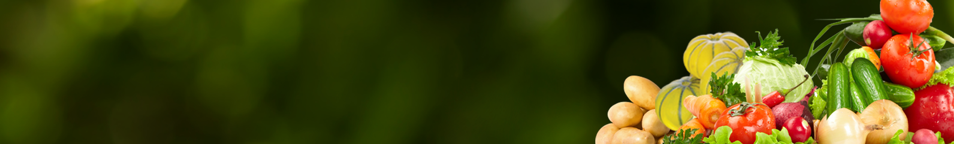 Estout